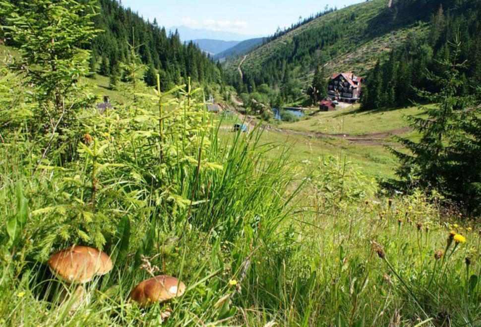 Chata pod Čertovicou Vyšná Boca Esterno foto